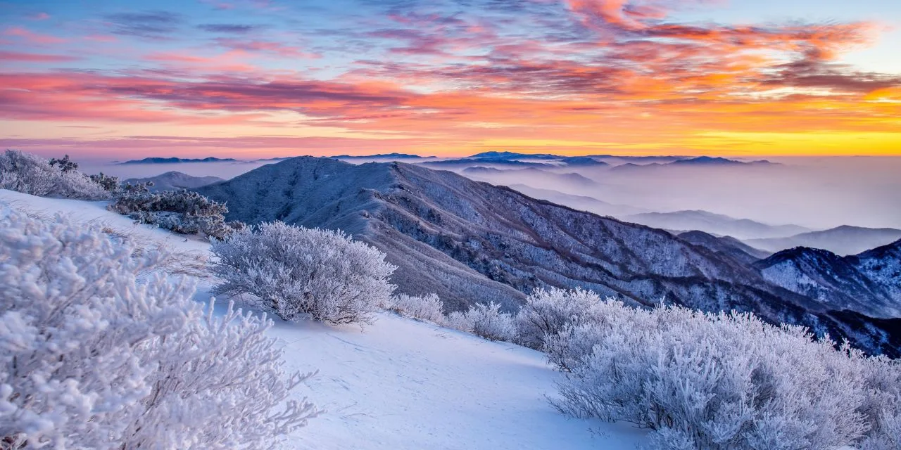 오대산 비로봉(1,563m) 등산 완벽 가이드: 상원사 최단코스